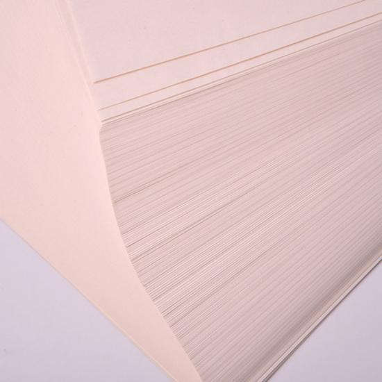 Anti-static Dust Free A4 Cleanroom Paper